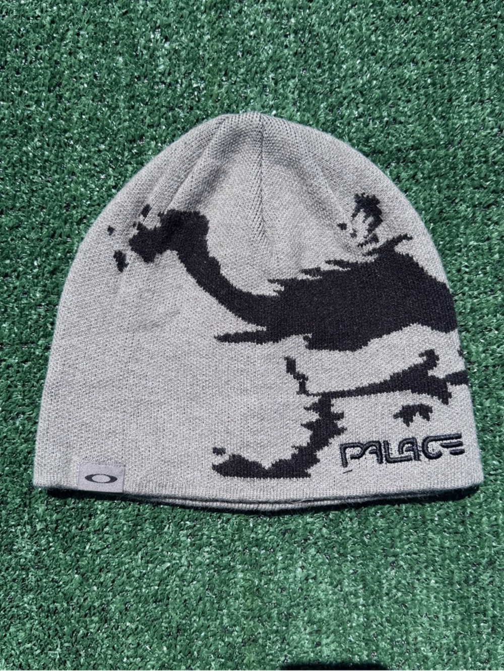 Palace x Oakley beanie